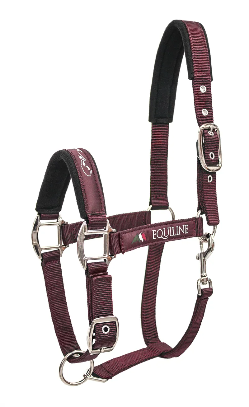 Equiline Timmy Headcollar Burgundy